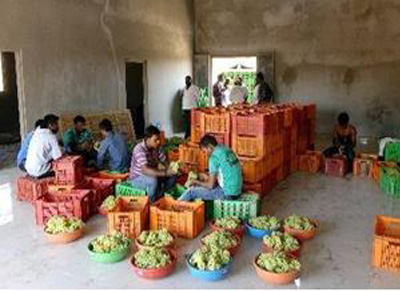 SFPCL recent-project-img-1