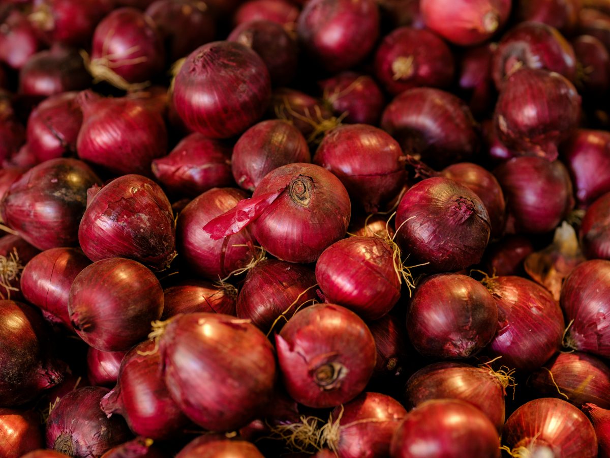 Onion