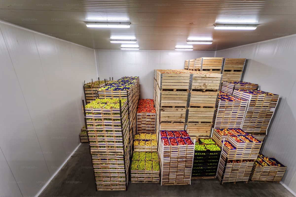 Cold Storage