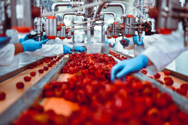 Food Processing