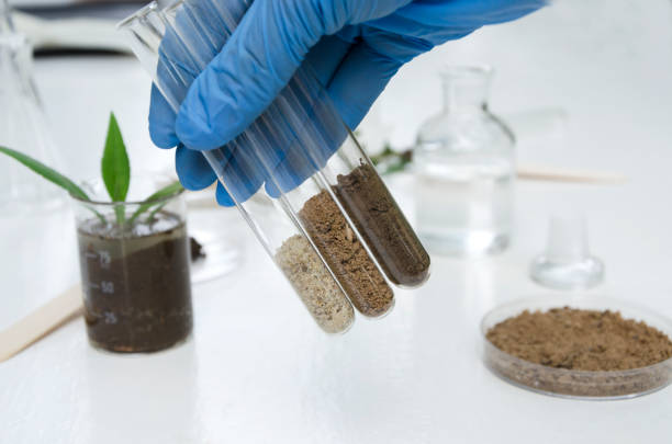 Soil & Water Testing